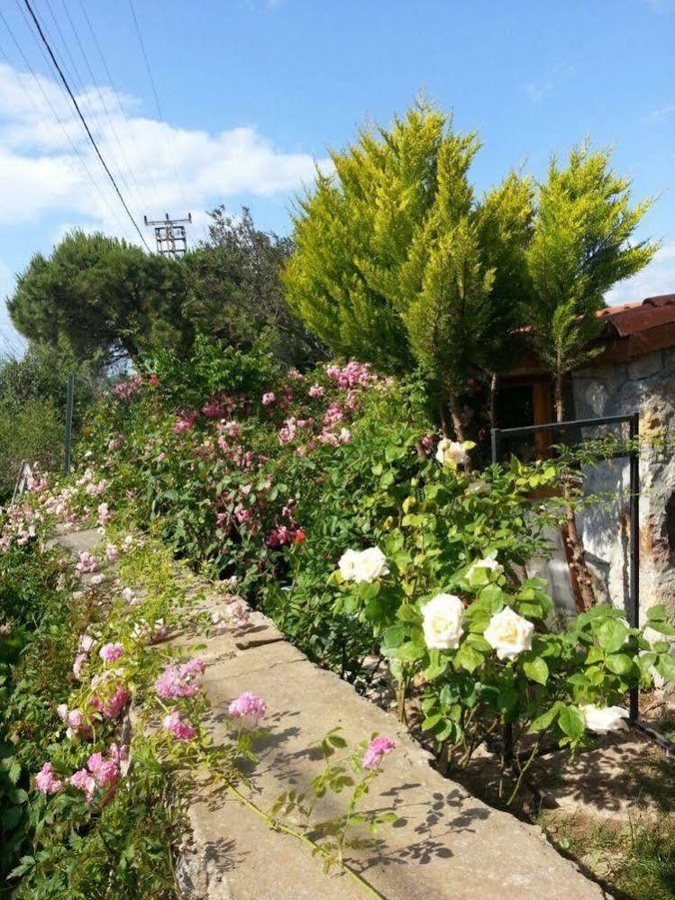 Nar Bagevi Hotel Bozcaada Bagian luar foto